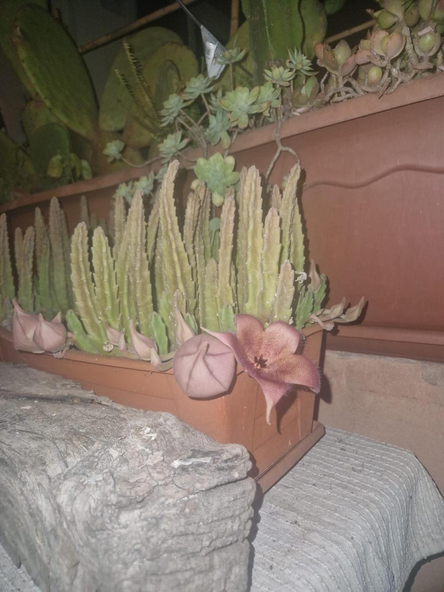 La Casa Di Melina - Home Book & Green Lovely Terrace Pachino Exterior photo